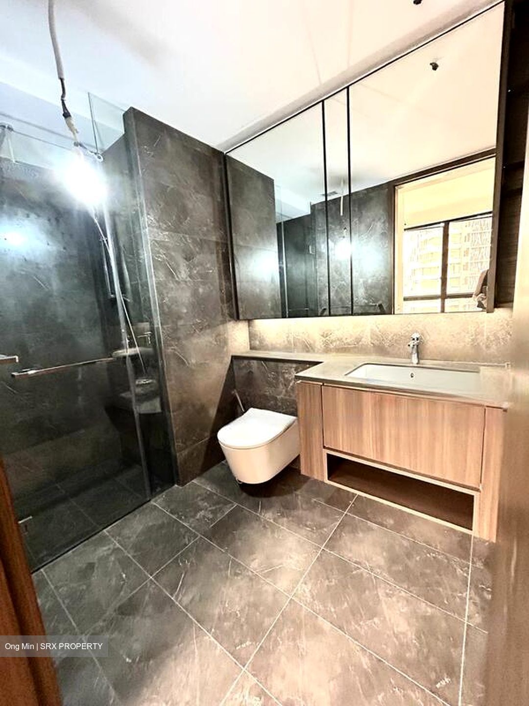 Kopar At Newton (D9), Apartment #504609101